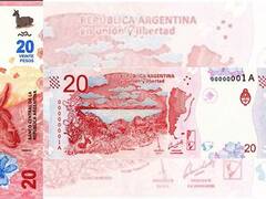 Salió el nuevo billete de $ 20: un guanaco con más medidas de seguridad