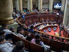 Proponen prohibir que los viajes de diputados y senadores sean pagados por el Estado