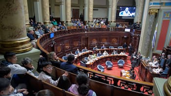 Proponen prohibir que los viajes de diputados y senadores sean pagados por el Estado