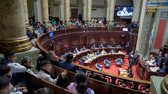 Proponen prohibir que los viajes de diputados y senadores sean pagados por el Estado