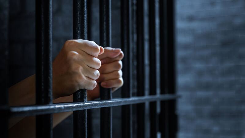 La Corte Constitucional dio luz verde a que estas sanciones incluyan penas de cárcel.