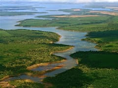 Por qué el Parque Iberá fue elegido por The New York Times como uno de los destinos para vacacionar