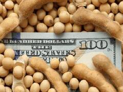 El campo ve algunas señales positivas y piensa en liquidar más exportaciones