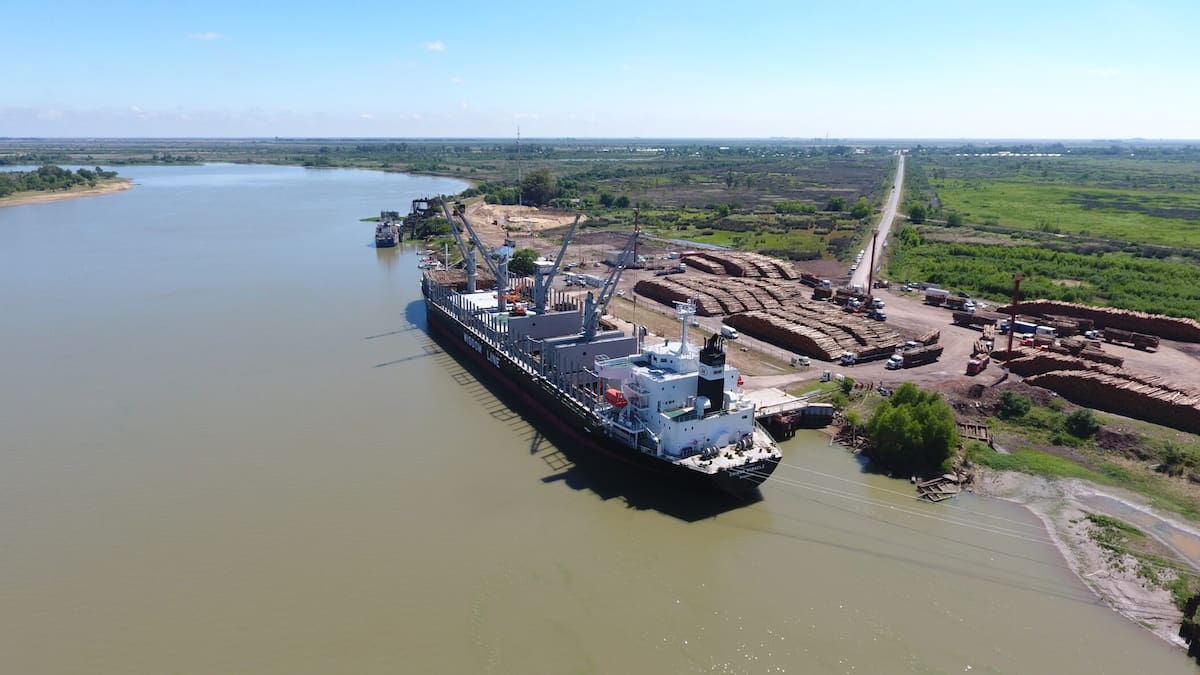 Llegan capitales privados para potenciar a Puerto Ibicuy - El Cronista