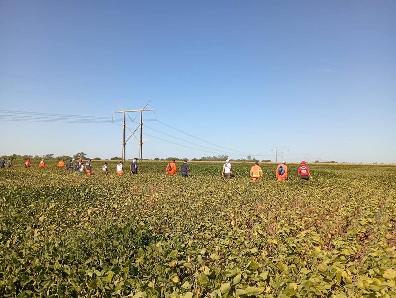 Búsqueda de Lian en Córdoba.