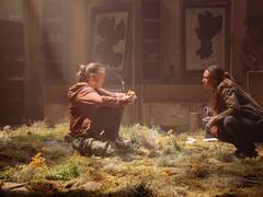 ¿Puede el hongo zombi de The Last of Us infectarnos en la vida real?