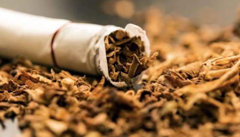 El tabaco es nocivo para la salud. Fuente: arhivo.