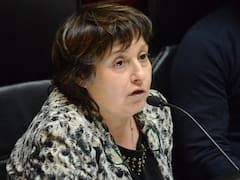 Qué dice la denuncia que Ocaña presentará contra Paladino