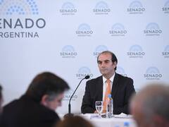 Ganancias, aborto, dolarización y recursos naturales: qué dijo García Mansilla ante el Senado