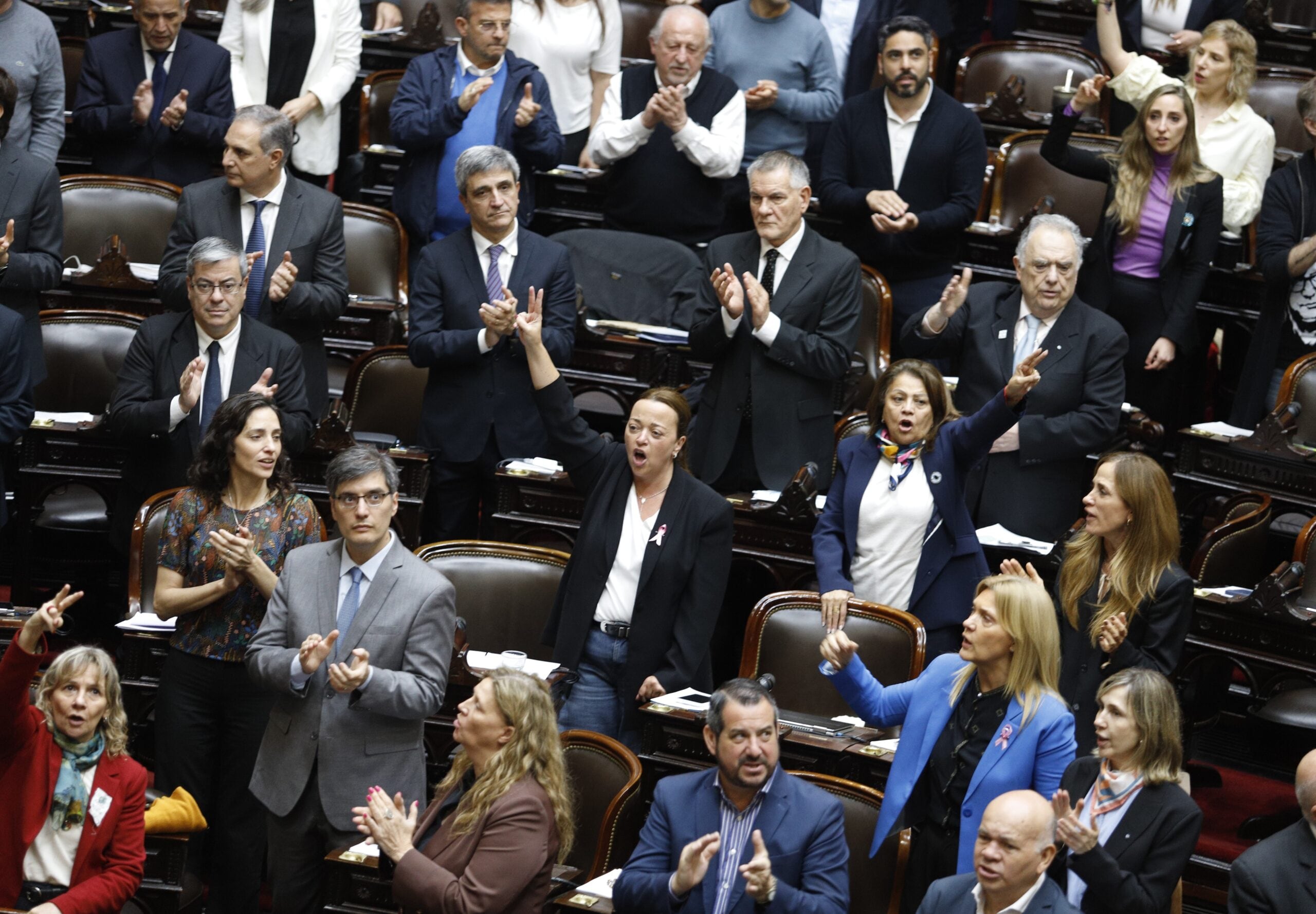 La Cámara de Diputados durante la sesión especial convocada con la intención de derogar el mega DNU 70/23 y votar los proyectos de emergencia en discapacidad y alivio de la morosidad familiar.
