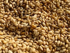 Las semillas llenas de calcio para fortalecer los huesos, prevenir la osteoporosis y prevenir enfermedades