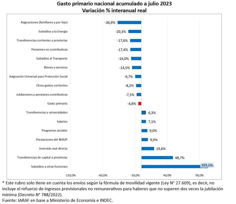 Radiografía del ajuste, según el Iaraf.