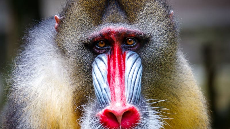 <div class="migrated-promo-image__description"><div class="migrated-promo-image__source">Fuente: shutterstock</div></div>