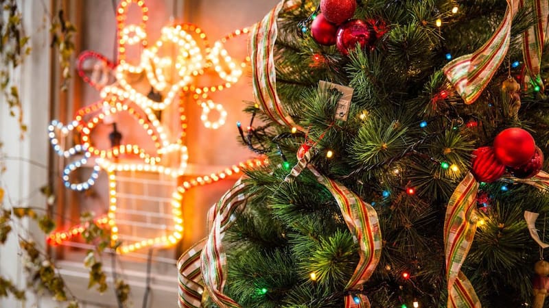 <div class="migrated-promo-image__description"><div class="migrated-promo-image__source">Fuente: Unsplash</div></div>