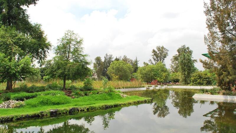 <div class="migrated-promo-image__description"><div class="migrated-promo-image__source">Fuente: Web</div></div>