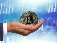 Mundo Crypto: el valor máximo al que llegaron las criptomonedas más famosas