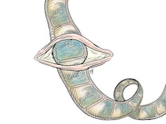 Atrapados en el Día de la Marmota, el eterno ‘deja vu’ argentino