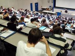 Arrancan las auditorías: cómo se harán, por cuáles se empieza y cuándo estarán los primeros resultados