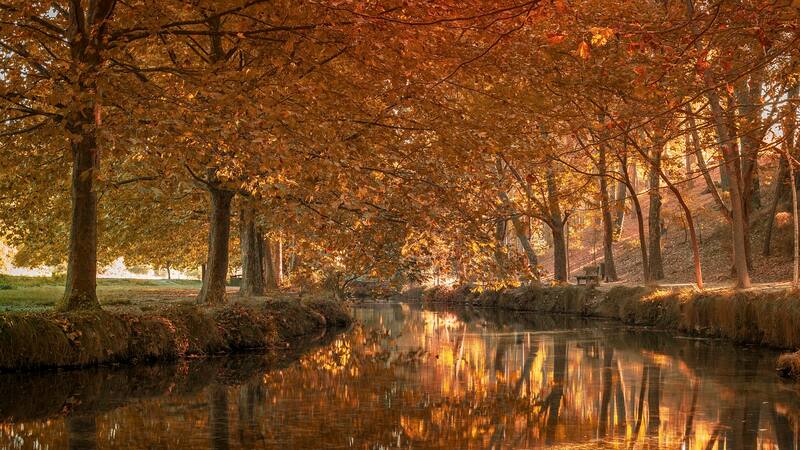 ¿Cuándo inicia el Otoño 2023?: esta es la fecha del equinoccio