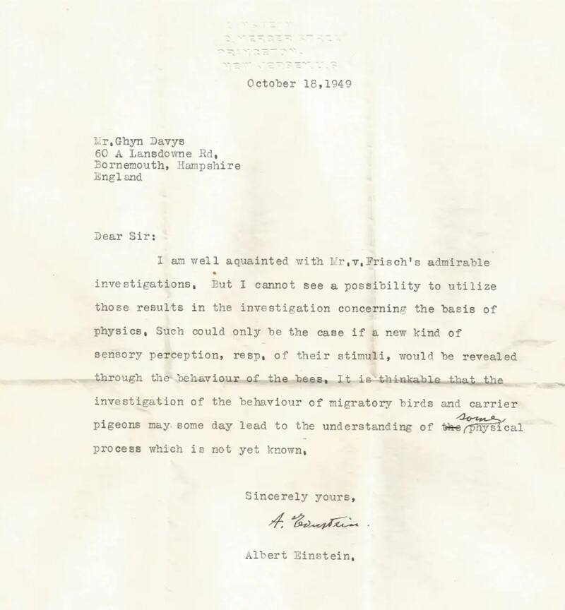 Los animales tienen más que cinco sentidos: Einstein lo sabía. Fuente: Journal of Comparative Physiology A