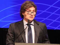 Milei se apoya en los tildes verdes de la economía para sustentar el proyecto libertario