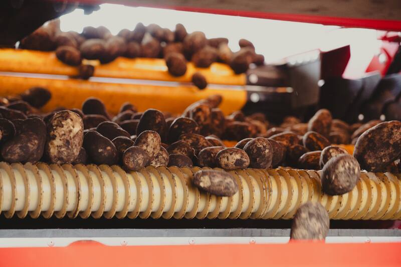 La planta de Mar del Plata está concebida para abastecer a mercados de exportación.