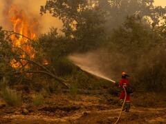 Incendios en España: la ola de calor deja miles de hectáreas arrasadas y evacuaciones en todo el país