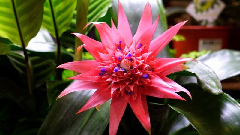 <div class="migrated-promo-image__description"><div class="migrated-promo-image__source">Fuente: Archivo</div></div>