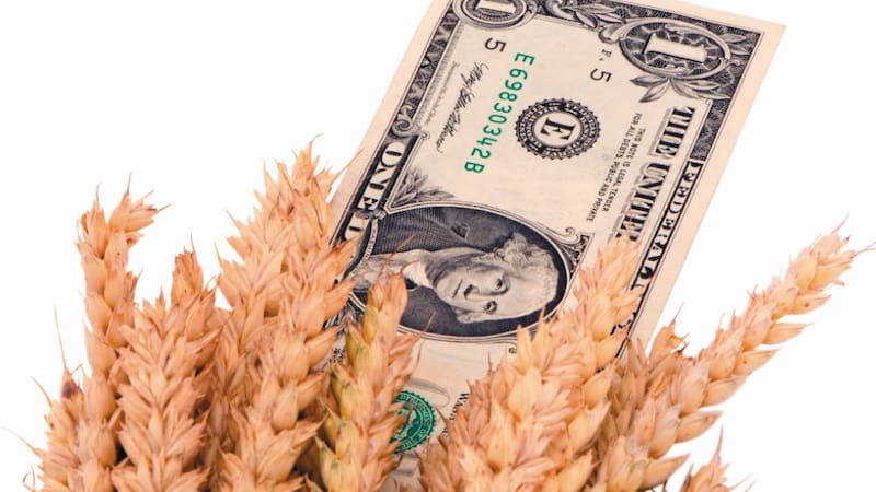 El ingreso de dólares al país por parte del sector del agro fue récord en 2021.