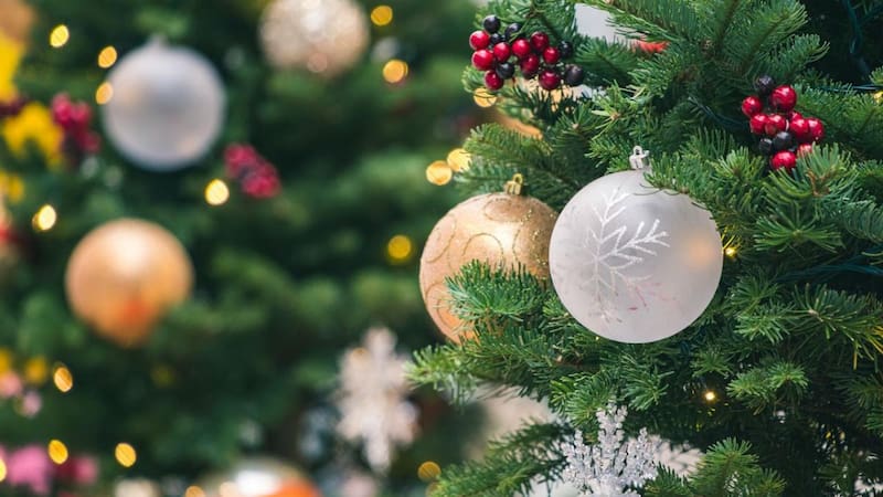 <div class="migrated-promo-image__description"><div class="migrated-promo-image__source">Fuente: Pexels</div></div>