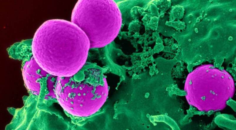 No es el agua ni ADN: revelan cuál es el elemento que dio origen a la vida en la Tierra