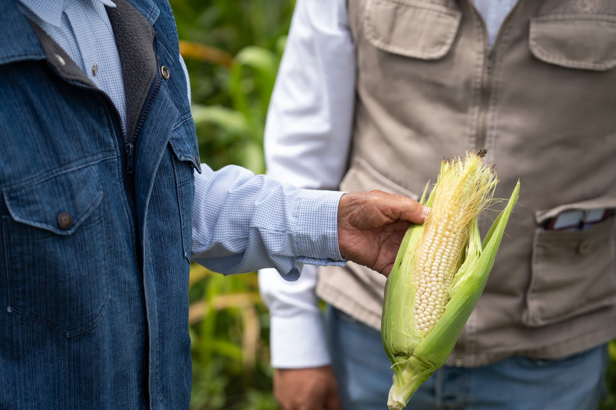 Por qué los productores argentinos levantan el pie del acelerador y demoran las ventas de granos
