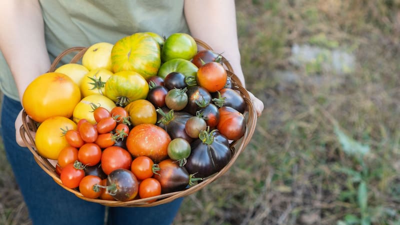 El fruto español lleno de vitamina C y antioxidantes que rejuvenece la piel y combate enfermedades.