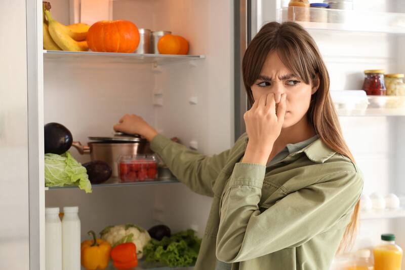 ¿Quién se hace cargo si se echó a perder la comida? Fuente: Shutterstock.