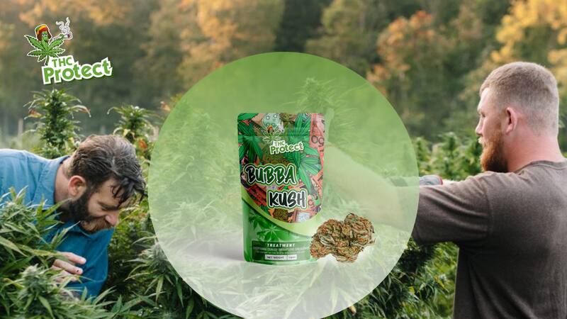 <div class="migrated-promo-image__description"><div class="migrated-promo-image__source">Fuente: THC Protect</div></div>