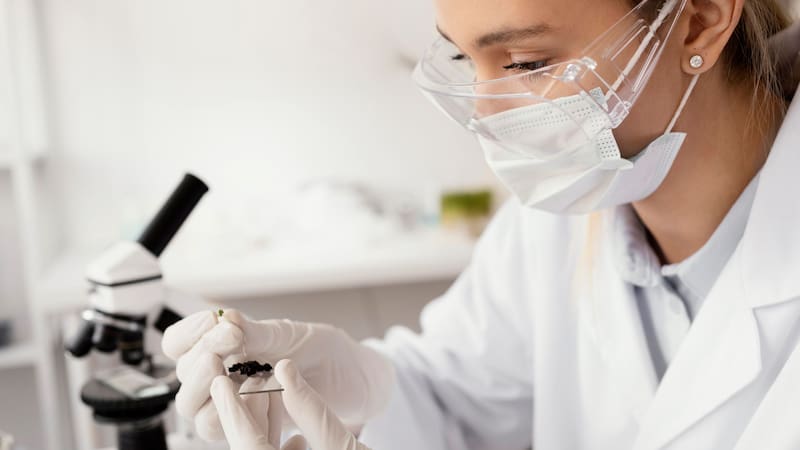 El descubrimiento científico de la capacidad de otras células del cuerpo de generar memoria abre nuevas perspectivas de tratamiento e investigación.