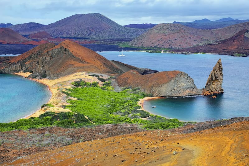 La campaña de dispersión de cebo para la erradicación de especies invasoras en Galápagos habría ayudado con este descubrimiento (Fuente: Shutterstock)