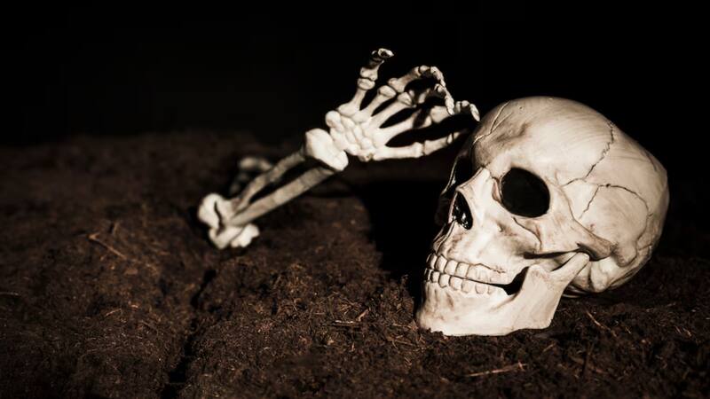 Tras varios años de investigación, los científicos pudieron completar los estudios de los restos óseos.