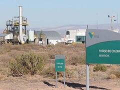 Vale busca comprador para seguir con el proyecto Potasio Río Colorado