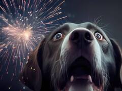 Consejos para que tu gato o perro no sufran por los cohetes y fuegos artificiales en las fiestas