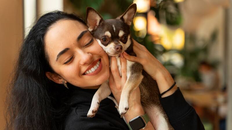 Existen varias razas de perros de México que llegan hasta nuestros días.
