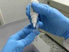 La Argentina celebra un notable avance contra el mal de Chagas: de qué se trata