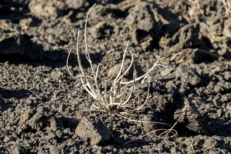 Los críticos de la ley dicen que traerá mayores costos para los residentes y más desastres climáticos. (Fuente: Freepik)