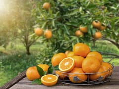 Comer naranjas tiene un efecto en tus riñones que seguro no conoces: ¿cómo puedes aprovecharlo?