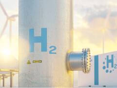 Una empresa serbia va por un proyecto de hidrógeno verde en Tierra del Fuego