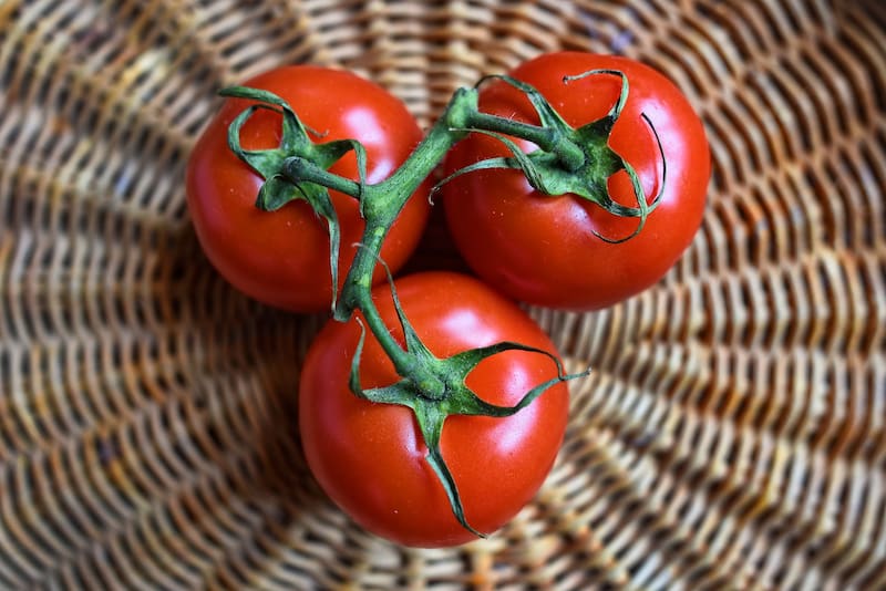 El cultivo de tomates es una de las prácticas más populares en el mundo de la jardinería. Foto: Freepik.