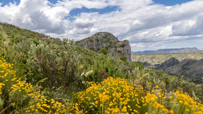 Escapadas: este pintoresco pueblito a 1 hora de Alicante tiene el mejor aceite de oliva y cerezas de España.
