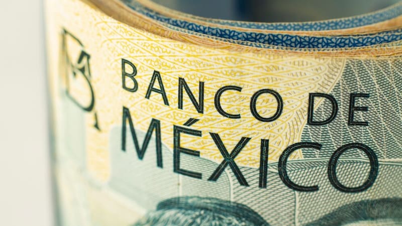 Desde su lanzamiento, ha generado un interés significativo entre coleccionistas y aficionados a la numismática.