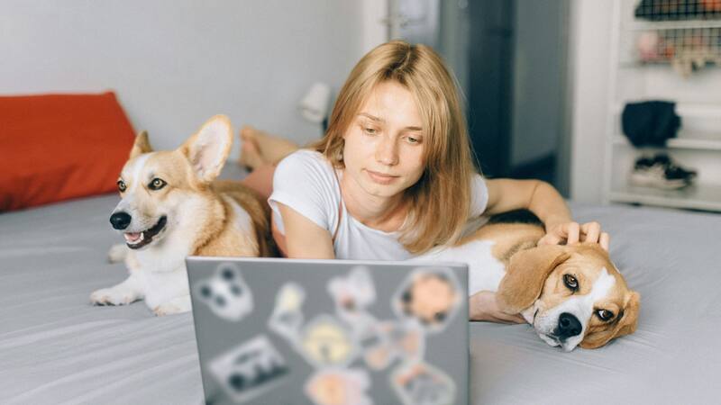 <div class="migrated-promo-image__description"><div class="migrated-promo-image__source">Fuente: Pexels </div></div>