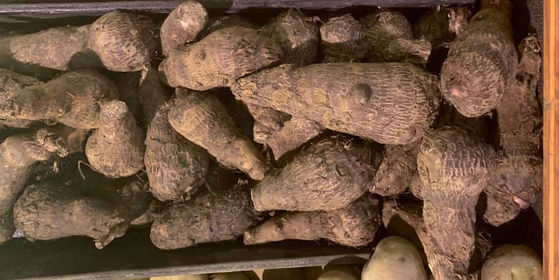 El ñame destaca por su alto contenido de potasio, esencial para la memoria y salud muscular (Fuente: James Moore200 / Wikimedia Commons)